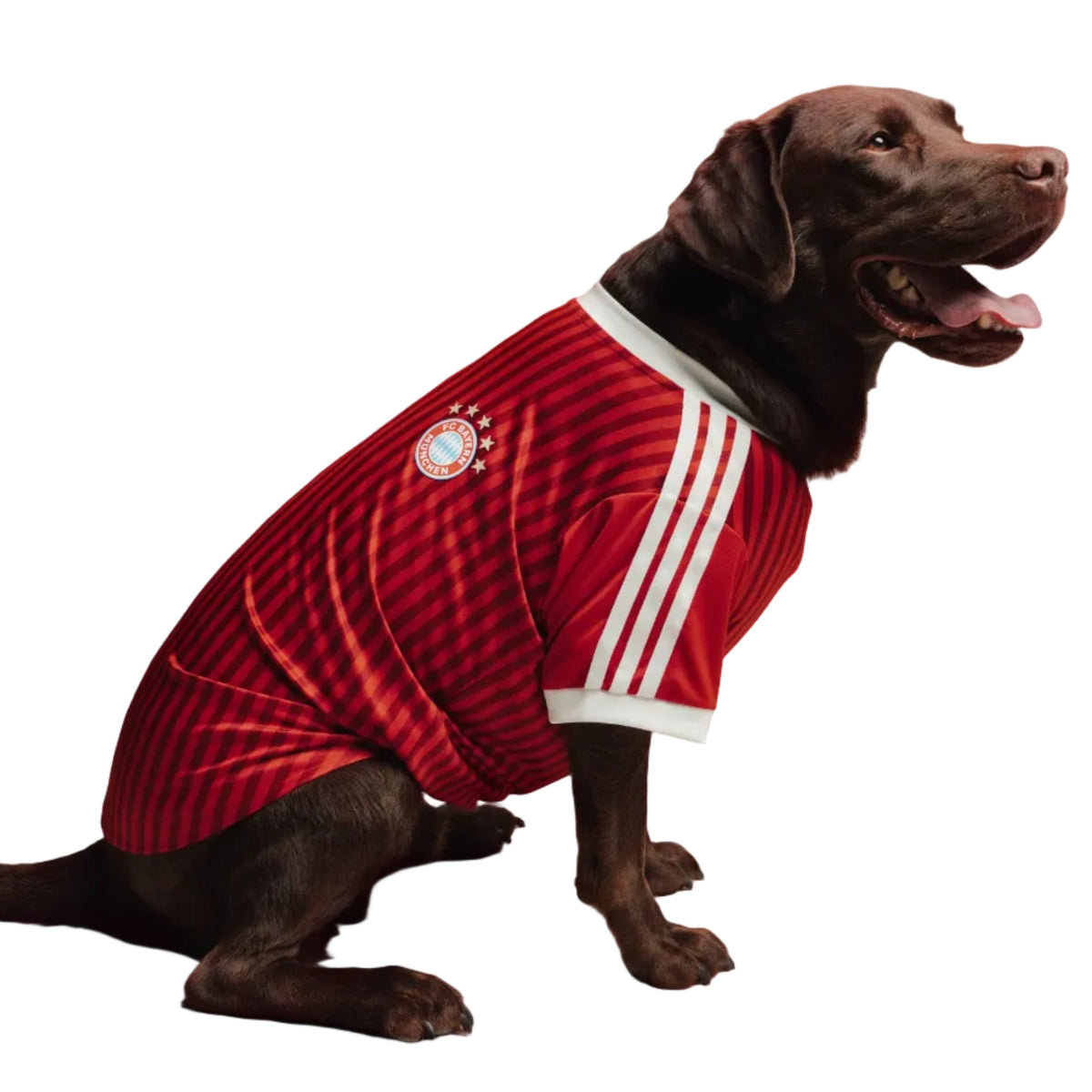 Bayern Munich Pet 26/27 Jersey