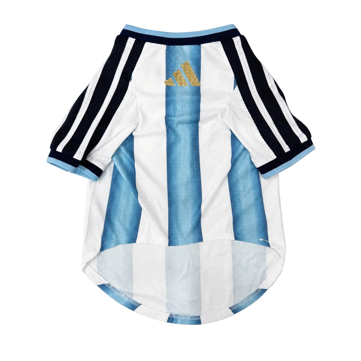 Argentina Pet 26 Jersey