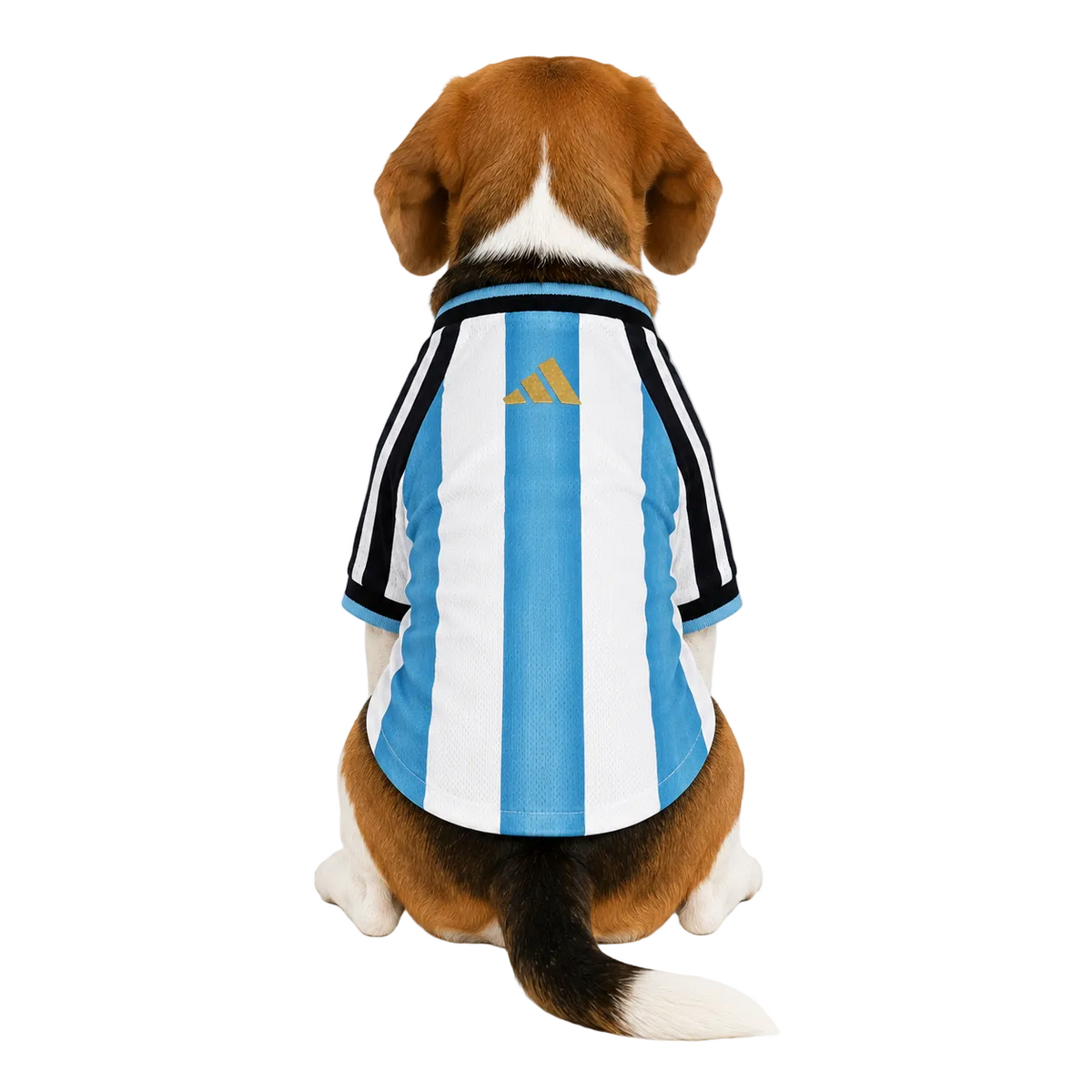 Argentina Pet 26 Jersey