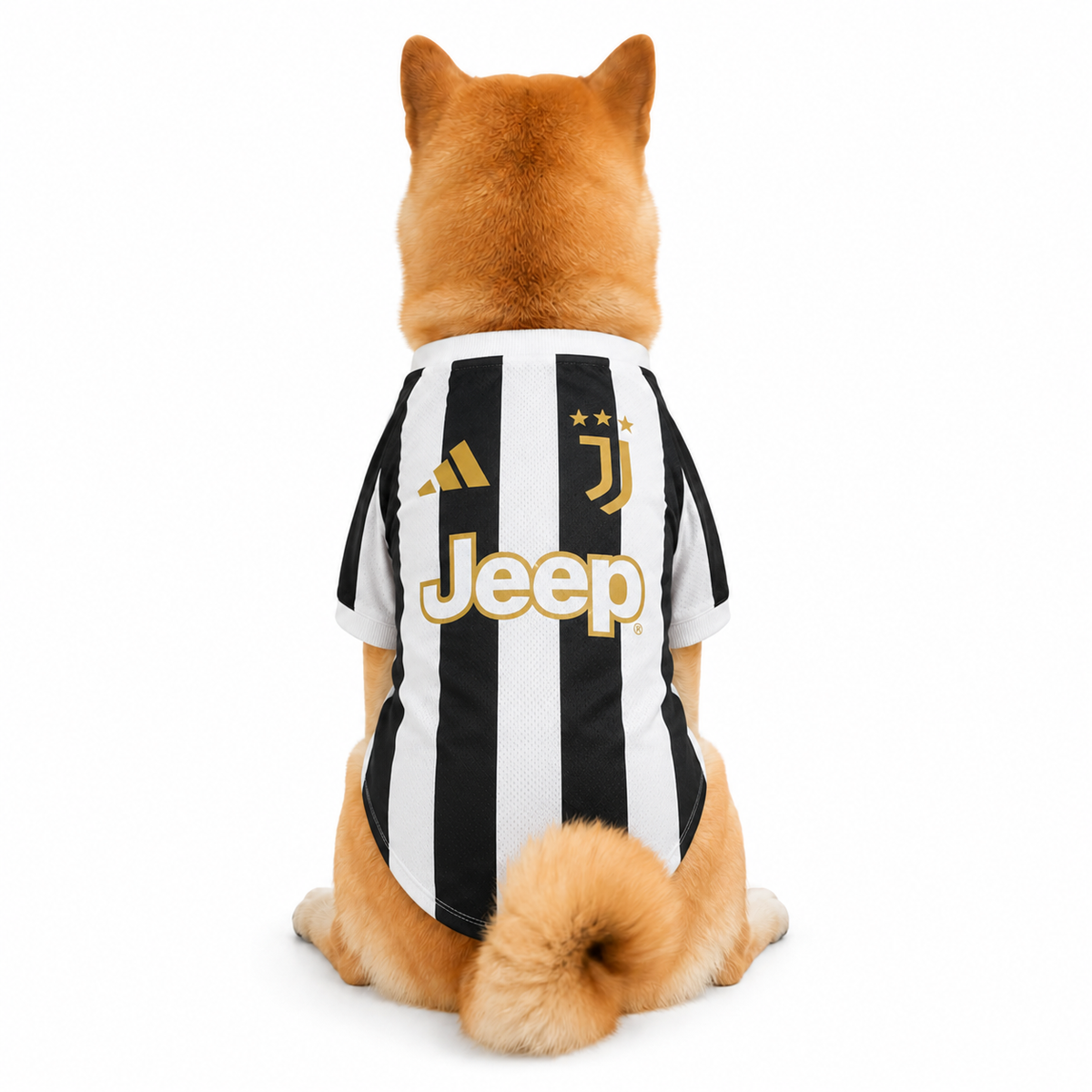 Juventus Pet 26/27 Jersey