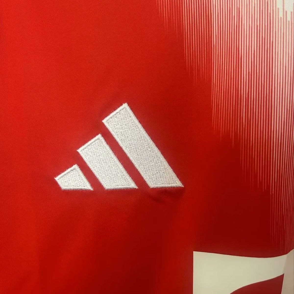 Camiseta Bayern de Múnich 25/26 - Versión Fan