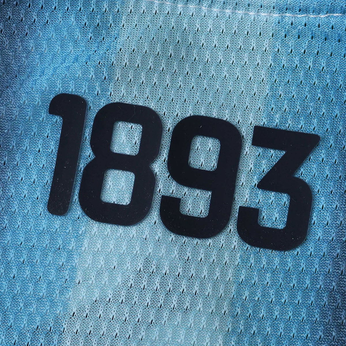 Argentina I Camiseta 2025/26 Versión Jugador