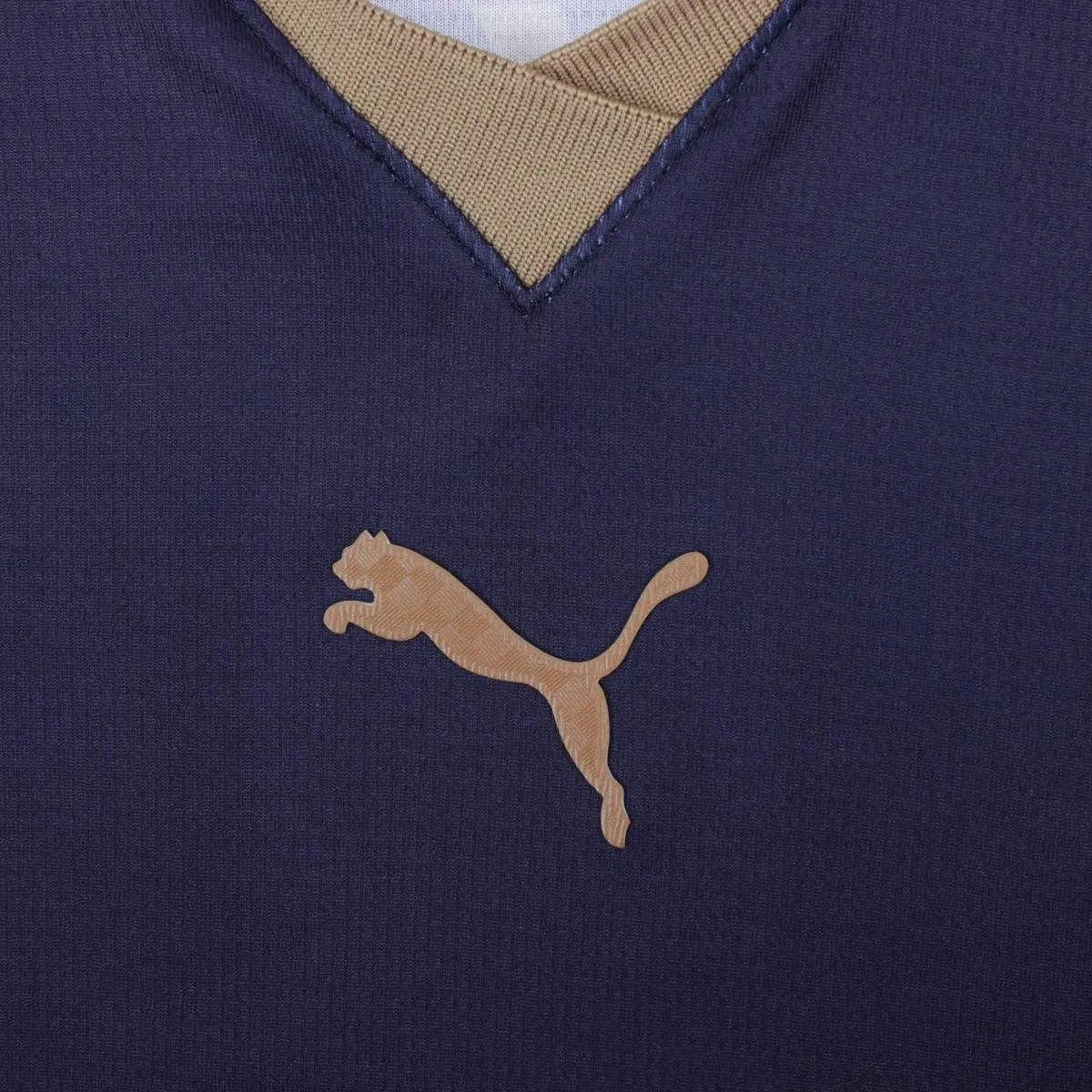 Jersey Pumas UNAM Home 2026/27 - Fan Version