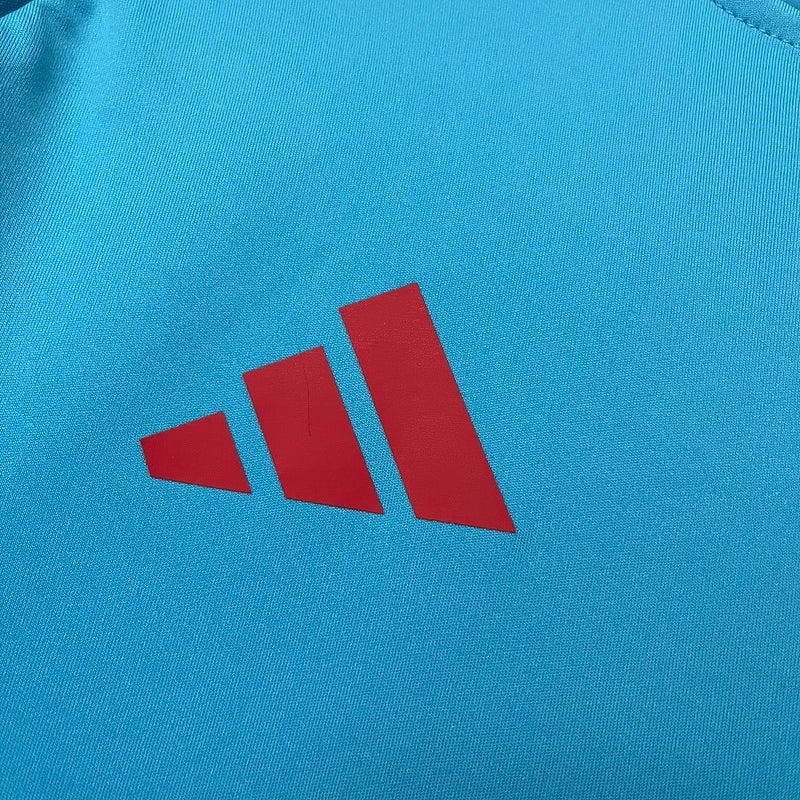 Camiseta de Treino Flamengo 2025/26 