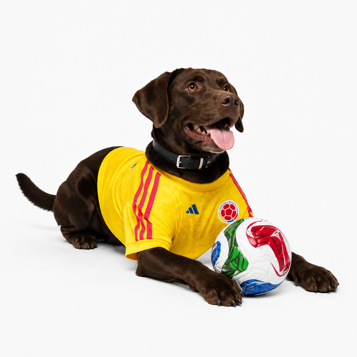 Colombia Pet 26 Jersey