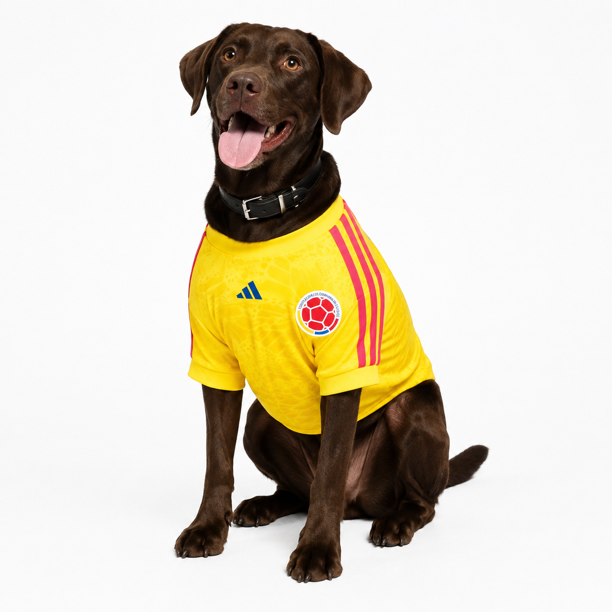 Colombia Pet 26 Jersey