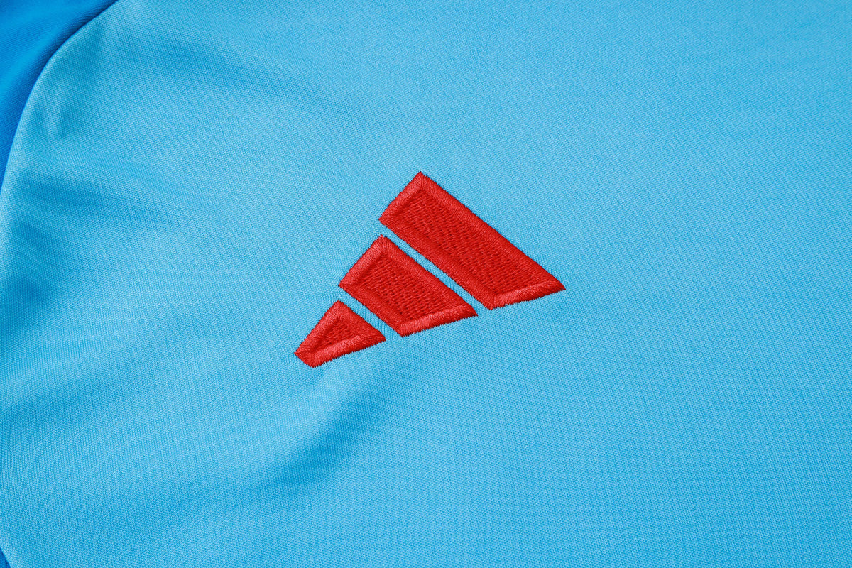 Camiseta de entrenamiento y pantalones cortos del Flamengo I 