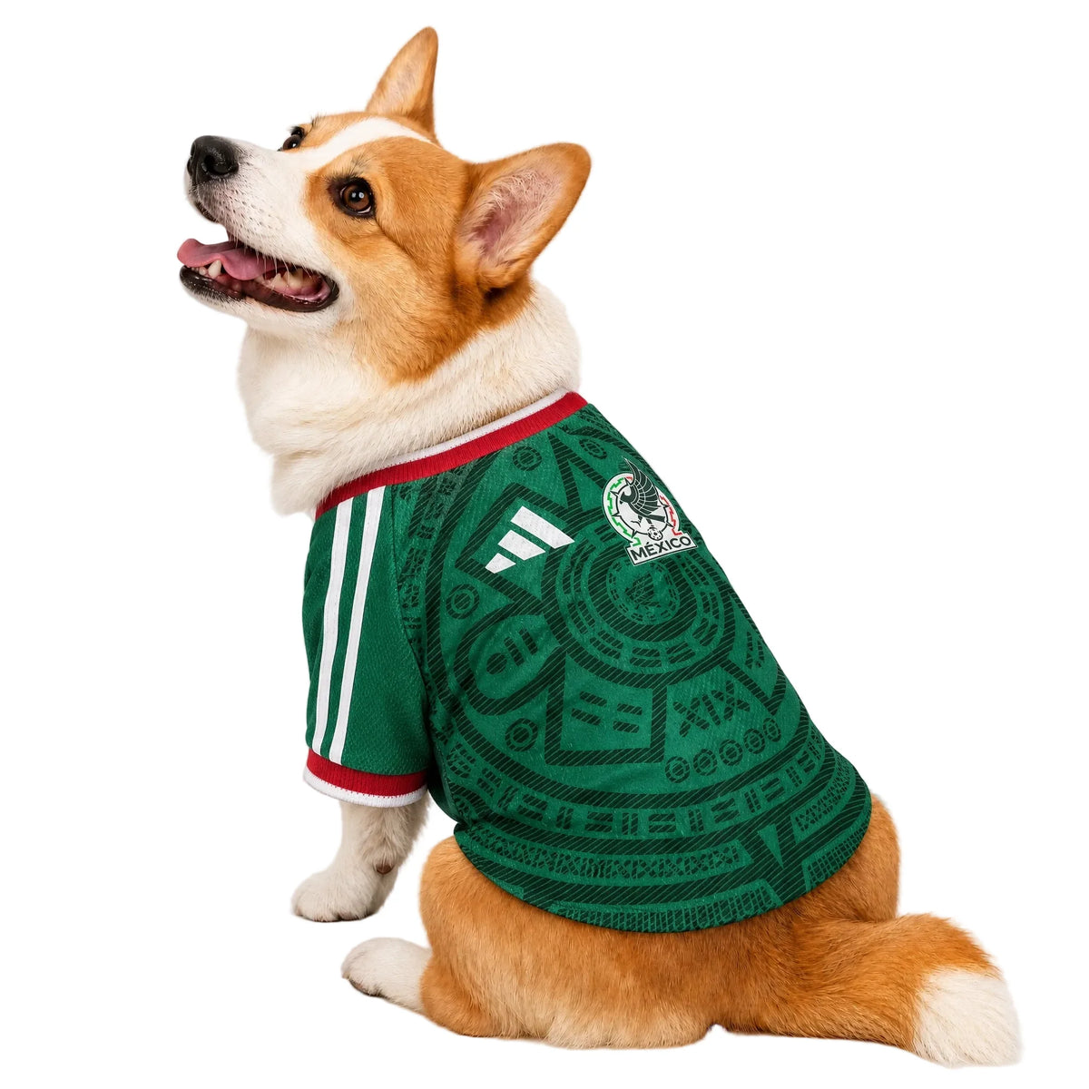 Mexico Pet 26 Jersey