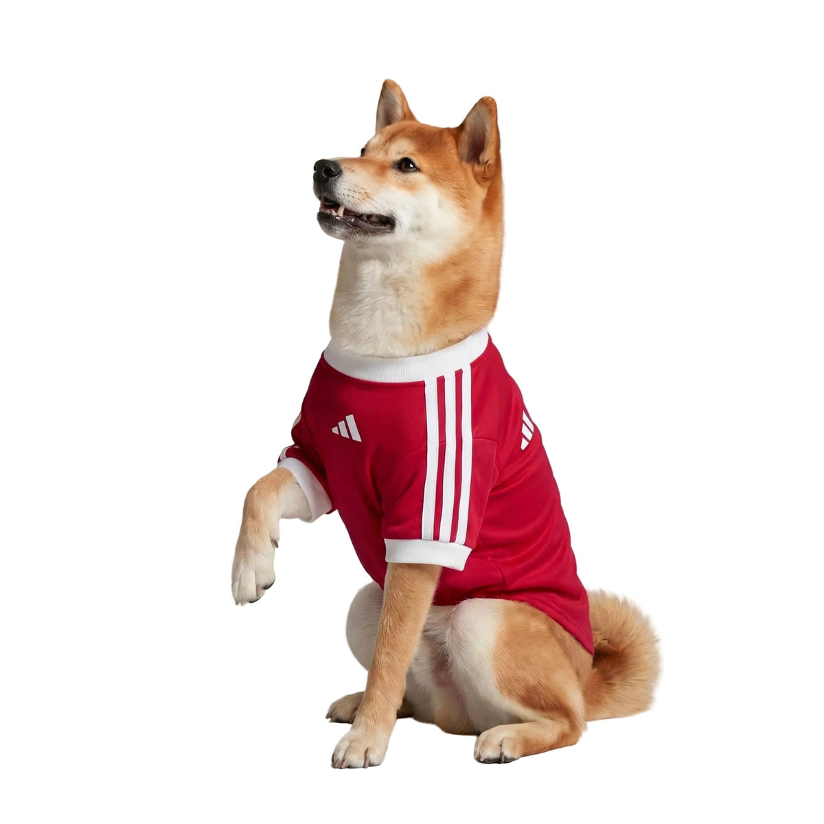Manchester United Pet Jersey 2026/27