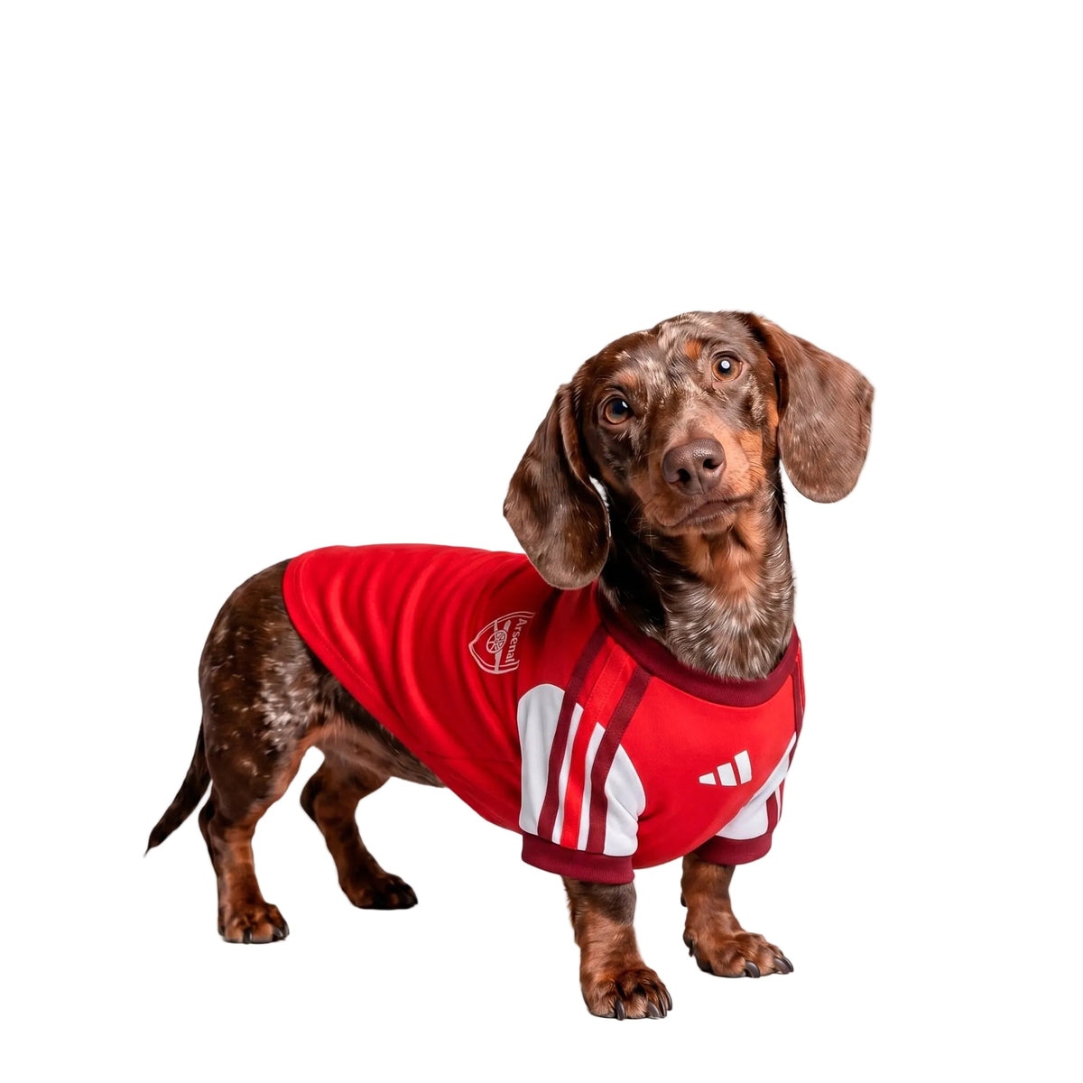 Arsenal Pet Jersey 2026/27