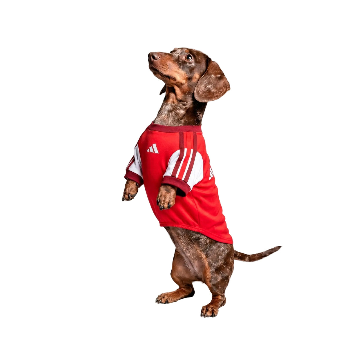 Arsenal Pet Jersey 2026/27